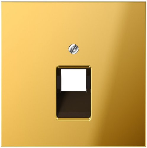 Лицевая панель Jung LS990 metal для 1-м. розетки RJ11/RJ45 золото картинка